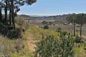 RGE 78/2017 Trib ENNA - LOTTO 10