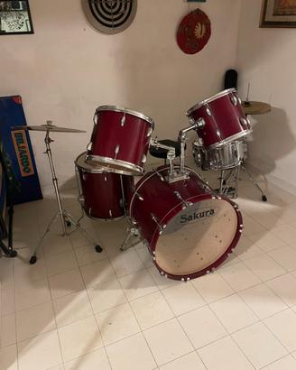 Batteria acustica Sakura