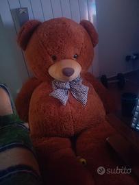 Orso gigante