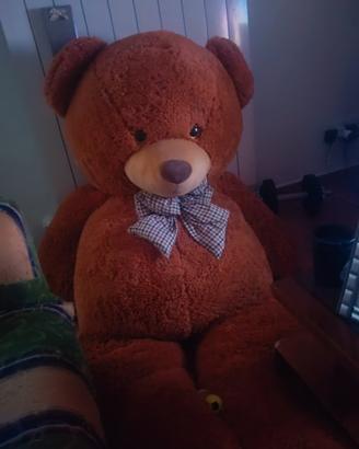 Orso gigante