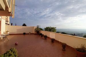 V003739 OSIMO via Michelangelo