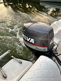 Selva dorado 40/50