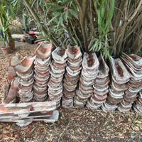 Tegole coppo circa 440 pezzi