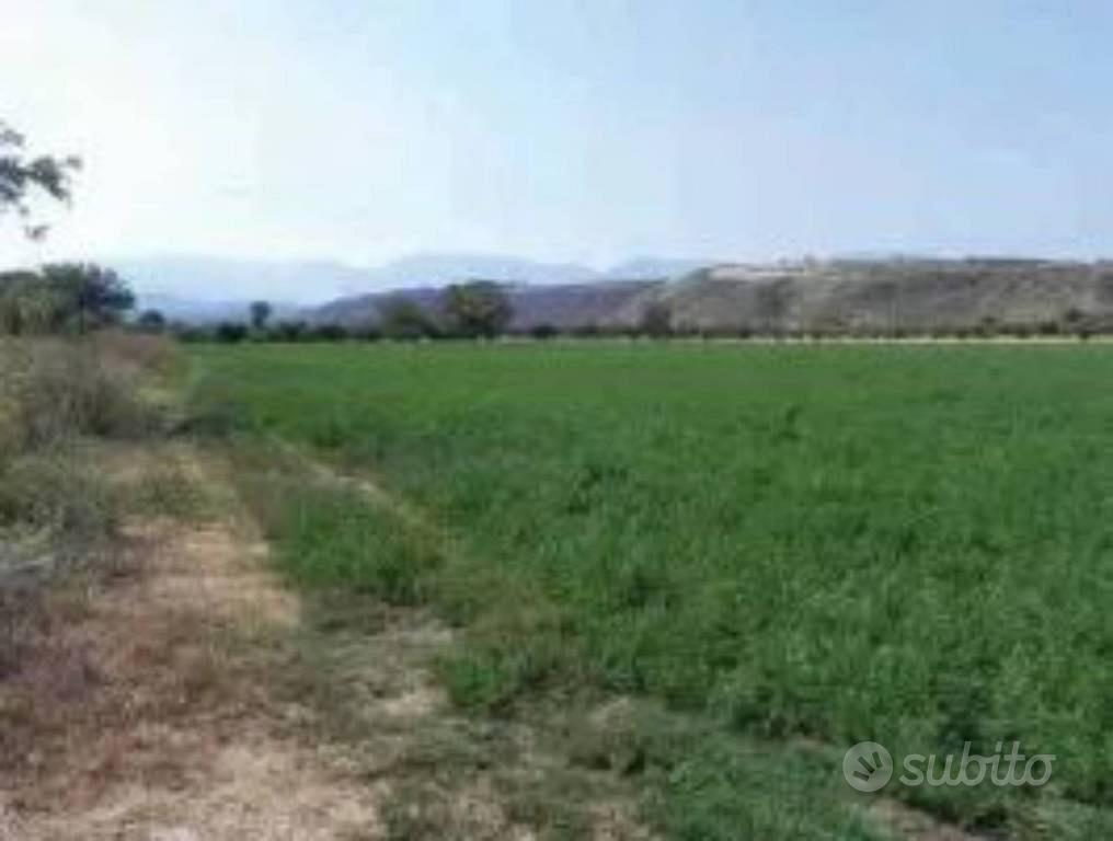 Immobile in asta di 37060 m² a Roggiano Gravina - Vista 4