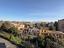 Immagine 23