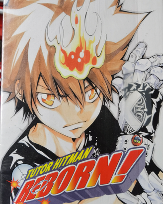 Manga tutor hit an reborn
