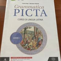 Grammatica Picta