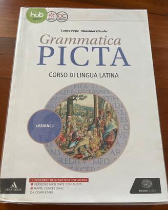 Grammatica Picta