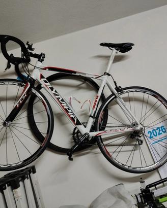 Olympia speedy al 7005 db campagnolo veloce xenon