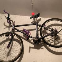 Montain bike Moser Francesco