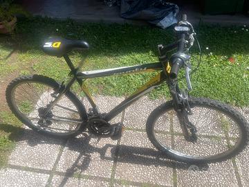 MOUNTAIN BIKE RUOTE 24