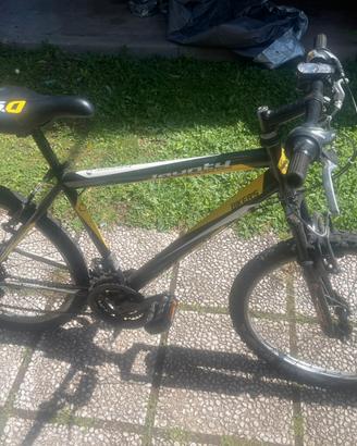 MOUNTAIN BIKE RUOTE 24