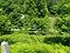 Immagine 24