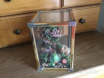 Composizione fiori secchi in contenitore