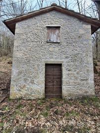 Capannino con bosco ceduo (6 ettari)