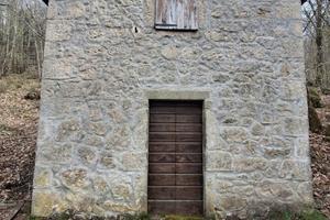 Capannino con bosco ceduo (6 ettari)