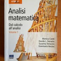 Analisi matematica, dal calcolo all’analisi