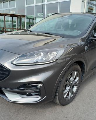 Ford Kuga 2.0 EcoBlue Hybrid 150 CV 2WD ST-Line