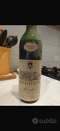 Vino 1962 Merlot Angoris