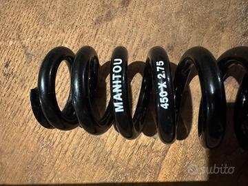 Molla Manitou 450x2.75