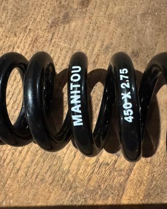 Molla Manitou 450x2.75