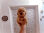 Immagine 20