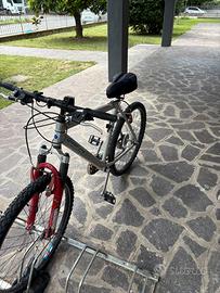 Bicicletta 26