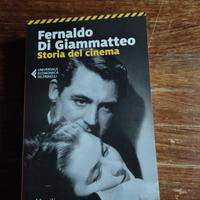 Fernaldo Di Giammatteo, Storia del cinema