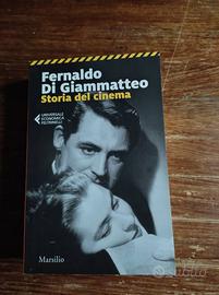 Fernaldo Di Giammatteo, Storia del cinema