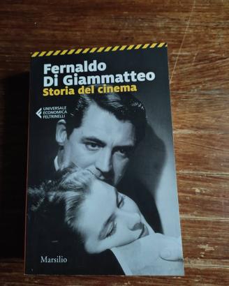 Fernaldo Di Giammatteo, Storia del cinema
