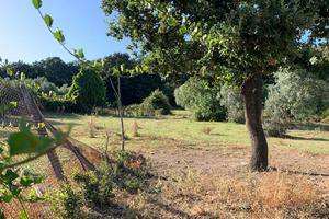 Terreno agricolo Sacrofano