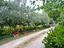 Immagine 11