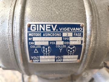 Motore con Puleggia 220 V