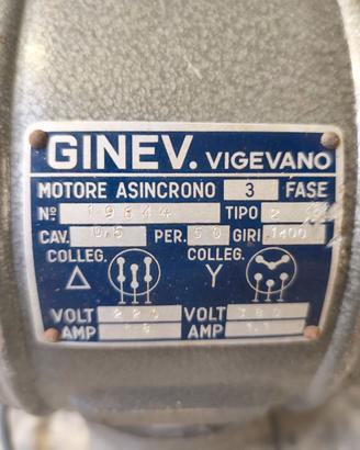 Motore con Puleggia 220 V