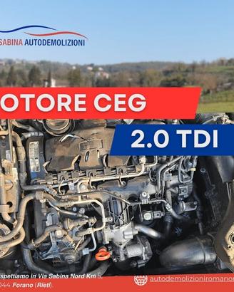 Motore wolkswagen skoda 2.0tdi sigla CEG