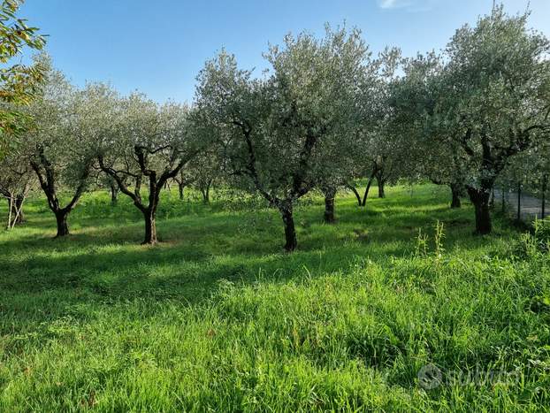 Adiacenze zona urbana, panoramico terreno agricolo