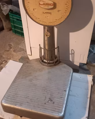 BILANCIA LARIO 30KG