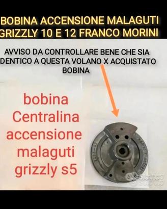 bobina centralina eccensione malaguti grizzly 