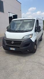 ducato