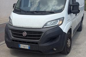 ducato
