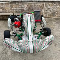 Go kart tony kart 401s 2018 motore tm kz10b