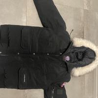 canada goose