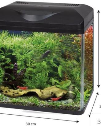Acquario 40 litri