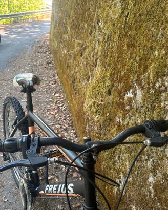 Bicicletta