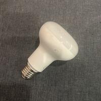 Lampadina LED DURA R80 con attacco E27