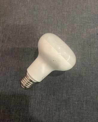 Lampadina LED DURA R80 con attacco E27