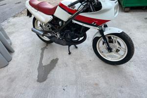 Honda NS