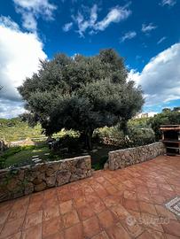 Villa a Costa Rei - Eleganza, Mare, Giardino