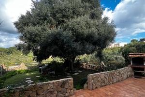 Villa a Costa Rei - Eleganza, Mare, Giardino