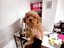 Immagine 26